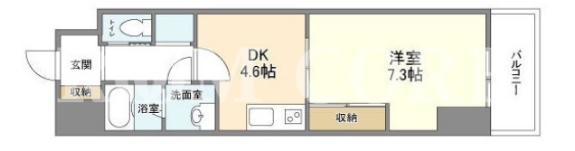 1DK
