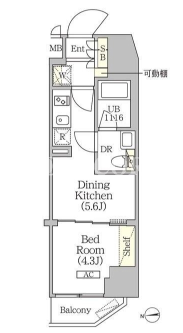 1DK