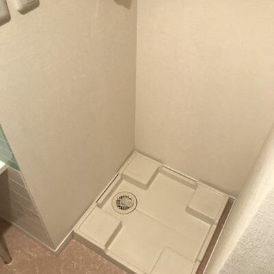 
						洗濯