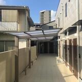 ノゾミオ目白