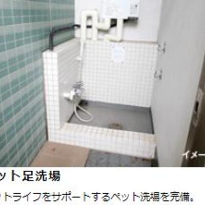 
						ペット足洗場