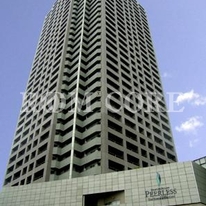 石神井公園ピアレス・ザ・タワー