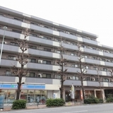 コスモリード学芸大学