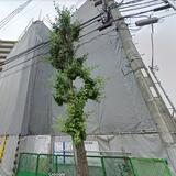 ライトテラス赤羽