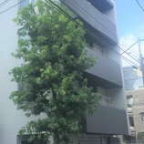 メグロポイント
