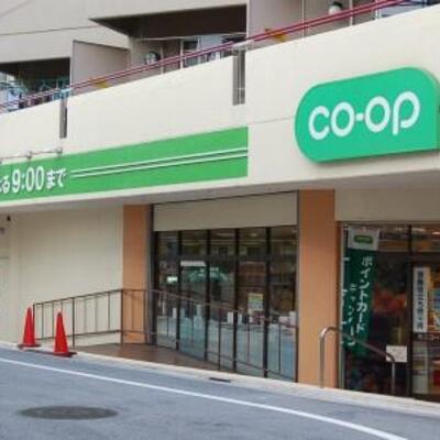 
						周辺情報