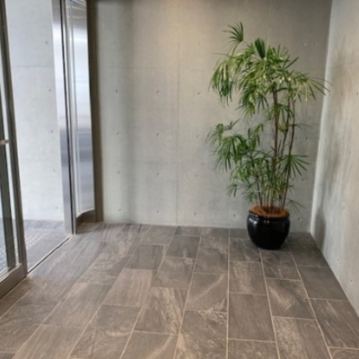 
						エントランス