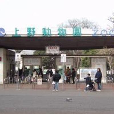 
						周辺情報