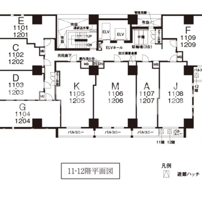 
						11.12階平面図