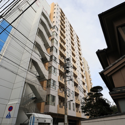 
						外観