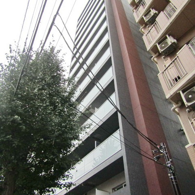 
						外観