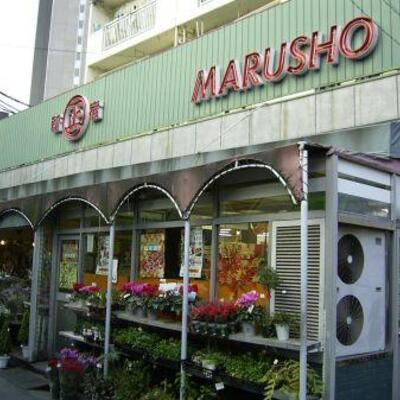 
						マルショウ