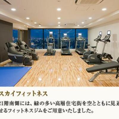 
						スカイフィットネス